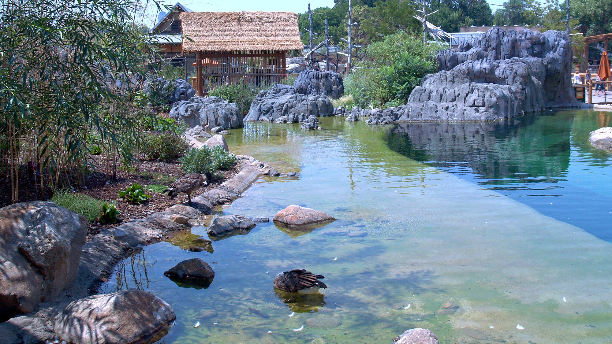 Denver Zoo Asian Tropics Coffman Engineers